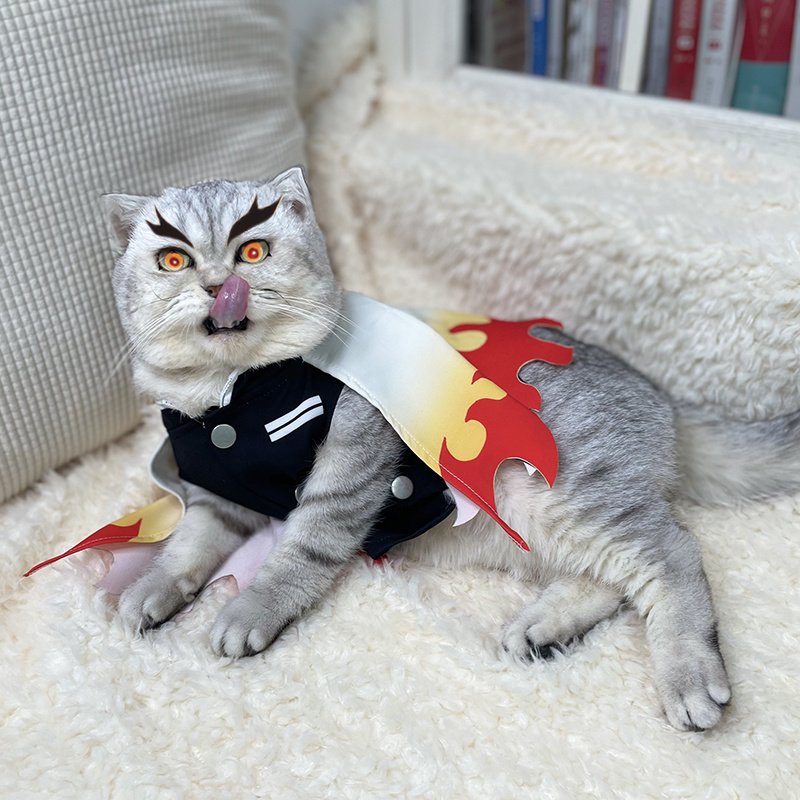 Demon Slayer Pet Cosplay Rengo - Cosplay Flame Prop 评论和价格