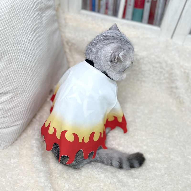 Demon Slayer Pet Cosplay Rengo - Cosplay Flame Prop 评论和价格